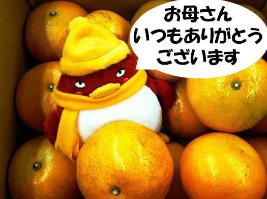 orei.jpg